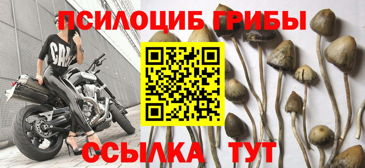 Новодвинск  Псилоцибиновые грибы мухоморы  Вход с VPN  Галлюциногенные грибы ЛСД 