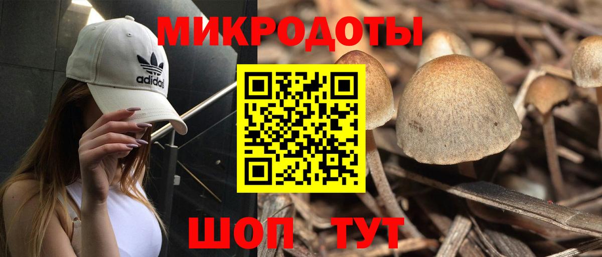 Галлюциногенные грибы мухоморы Новодвинск